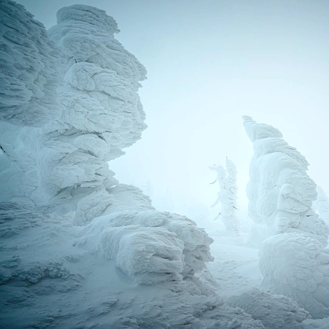 2-Day Ginzan Onsen & Zao Snow Monsters Tour | 1 Night Stay with VIP Small Group
