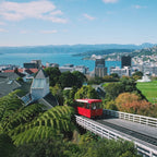New Zealand North Island Private Chauffeur Car Charter