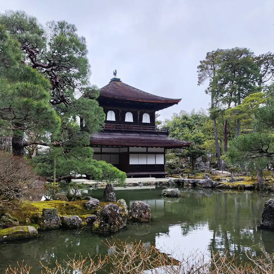 Japan in Bloom: Sakura Season Private Tours & Cultural Highlights