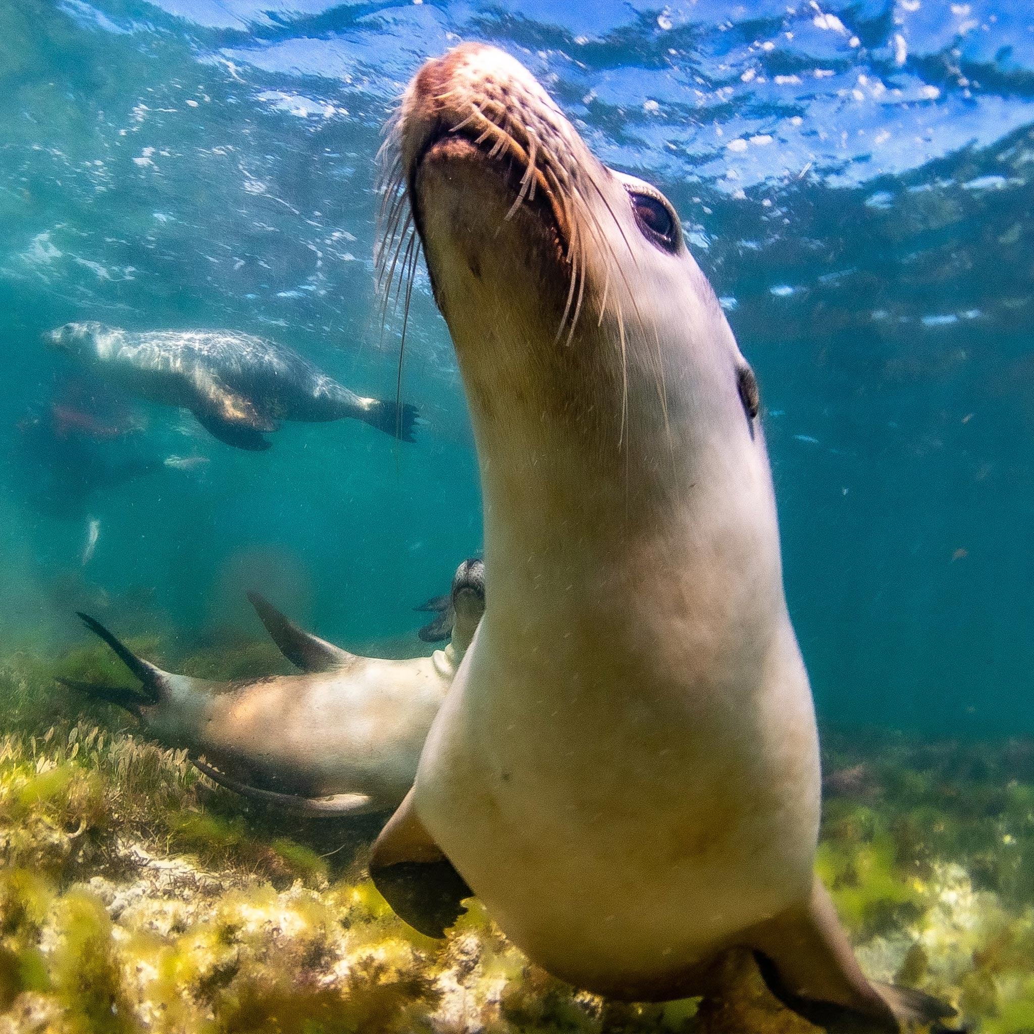 6-Day Western Australia Panorama Tour Adventure