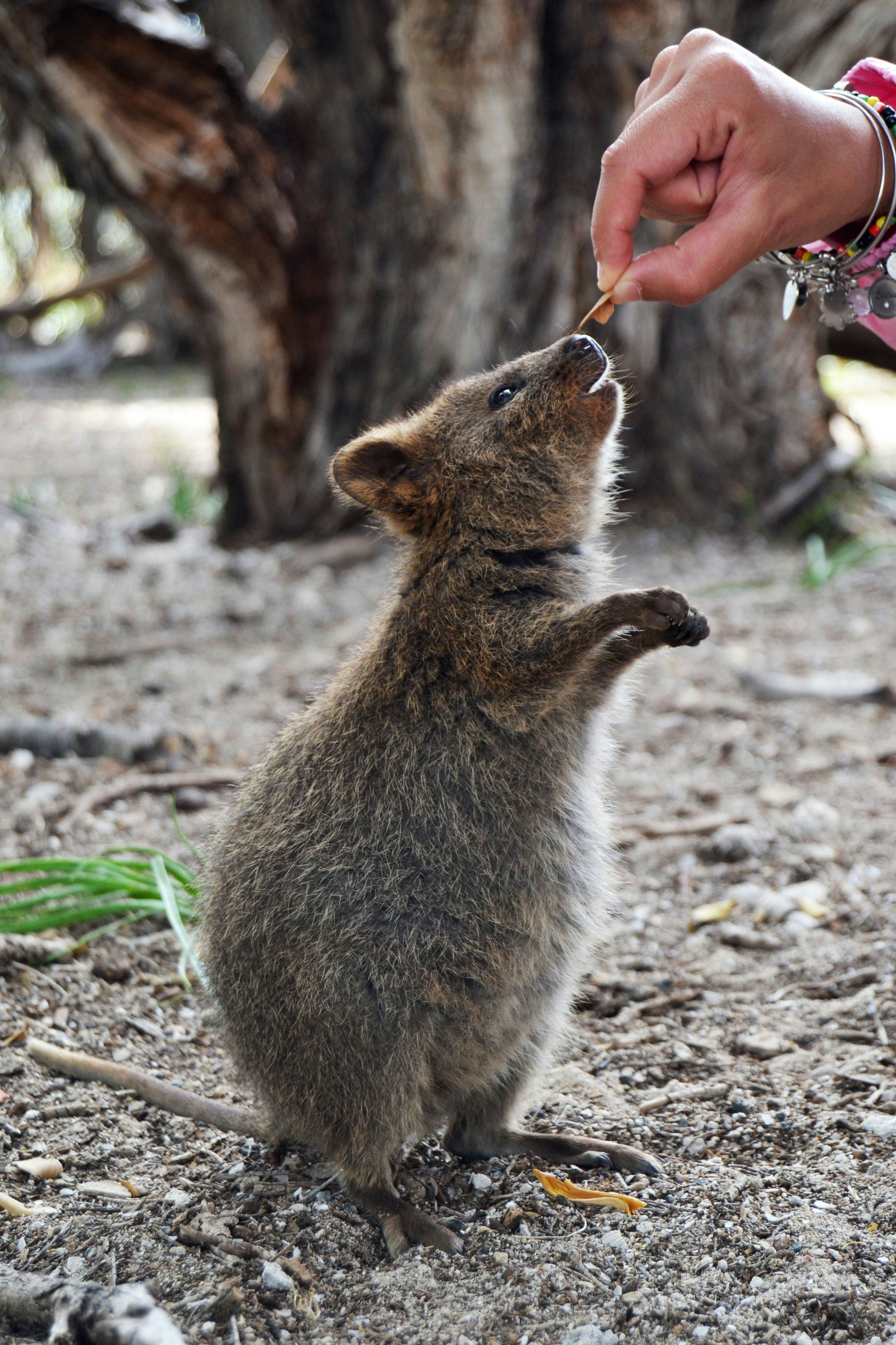 6-Day Western Australia Panorama Tour Adventure