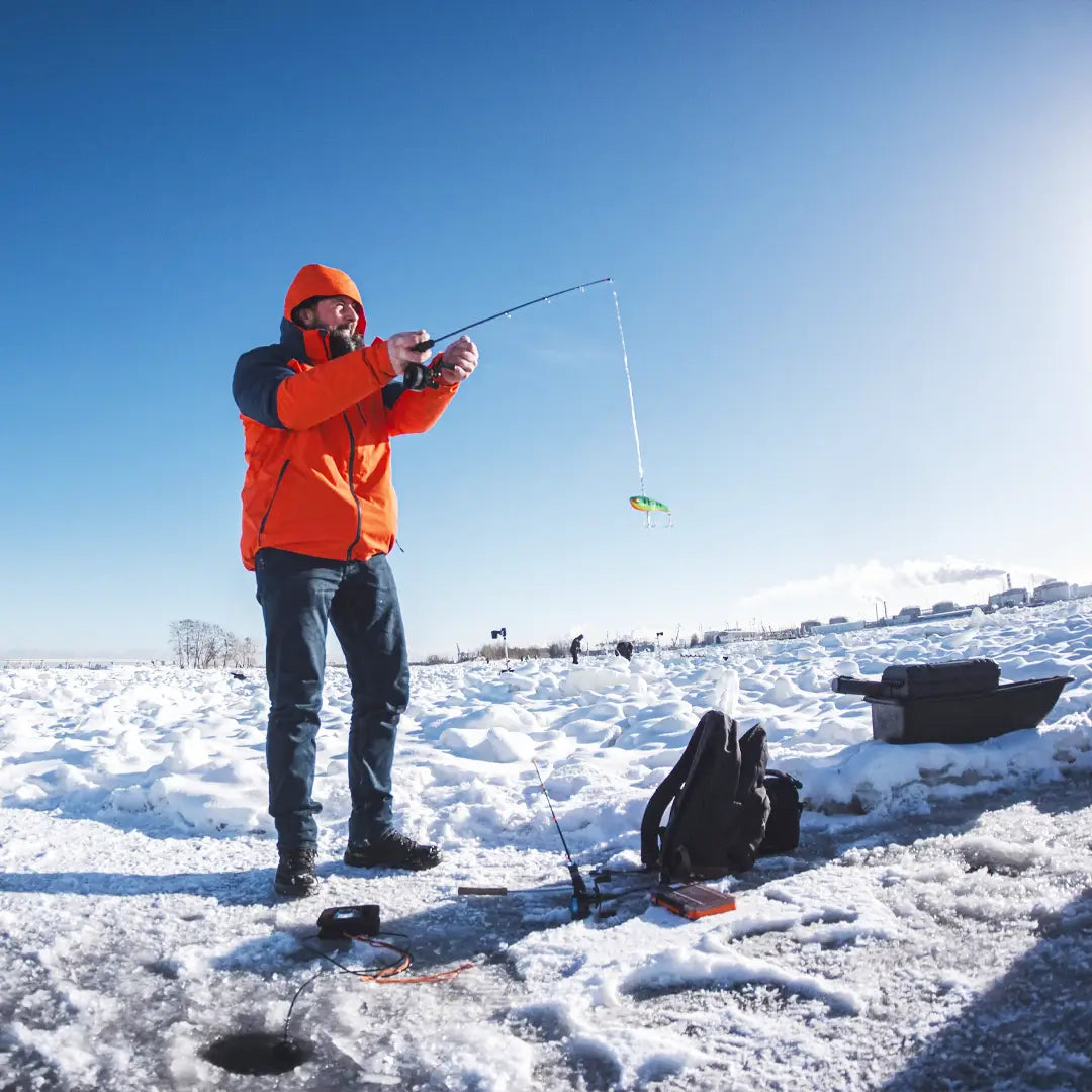 7-Day Alaska Northern Lights Classic Tour CUBE