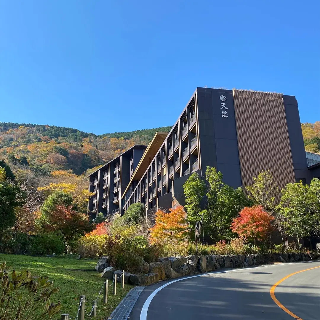 Japan Family Adventure: Samurai, Anime & Cultural Fun