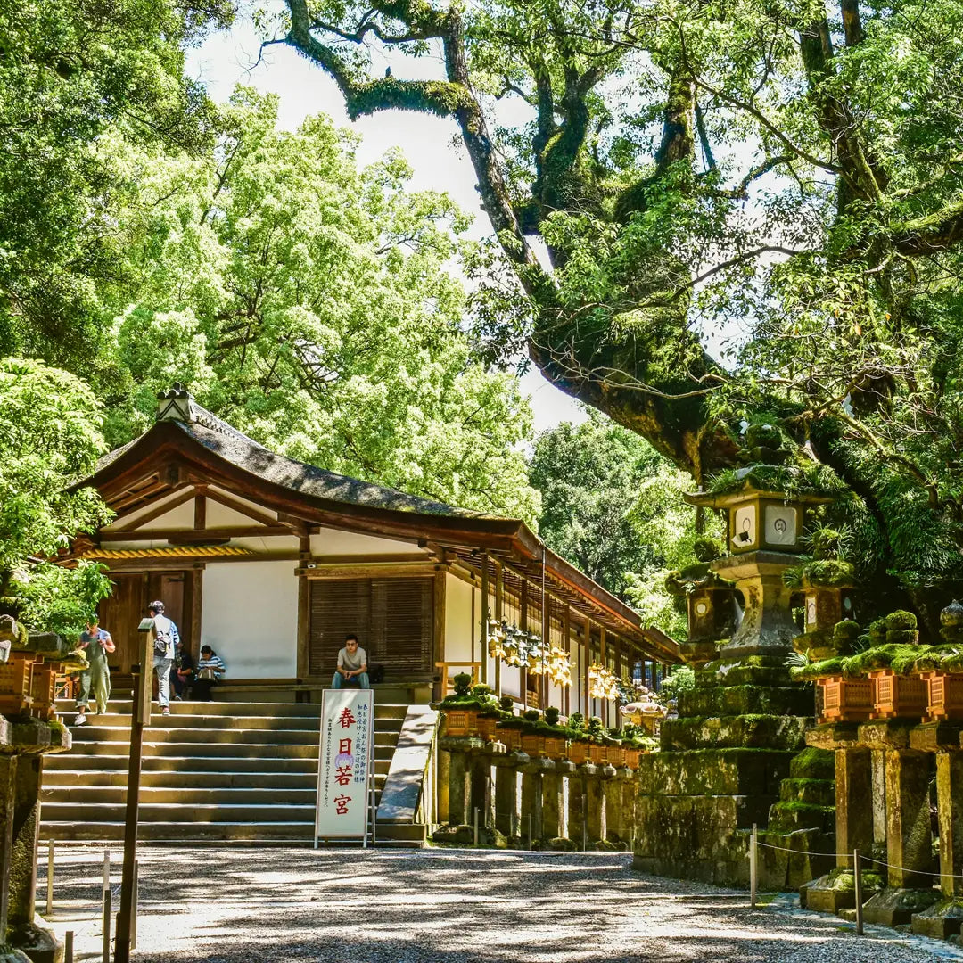 Tailor-Made Kansai Tours: Kyoto, Osaka & Nara