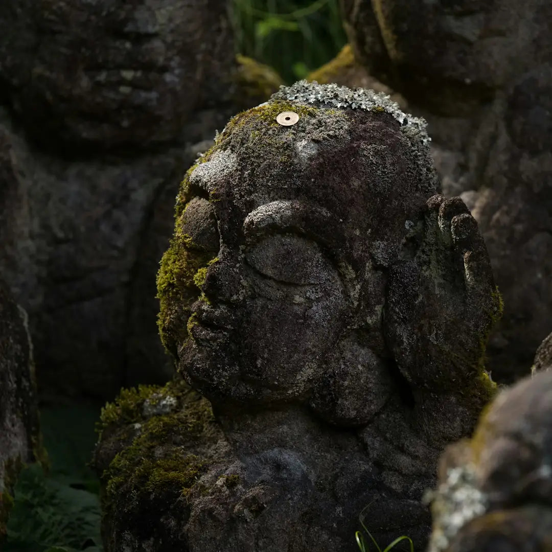 Discover Japan’s Top Cities: Tokyo, Kyoto & Osaka Private Tours