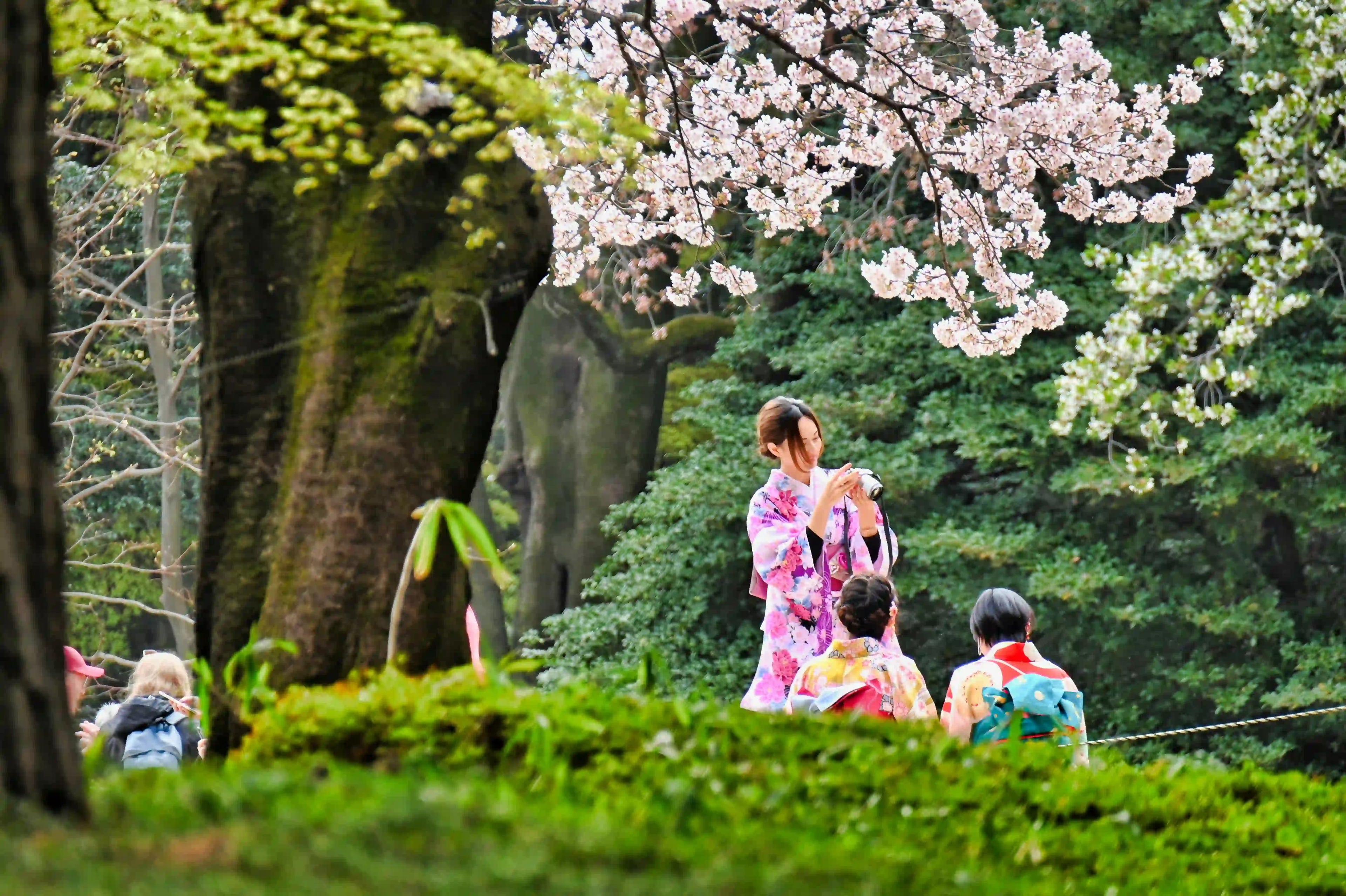 Tailor-Made Japan Family Tours