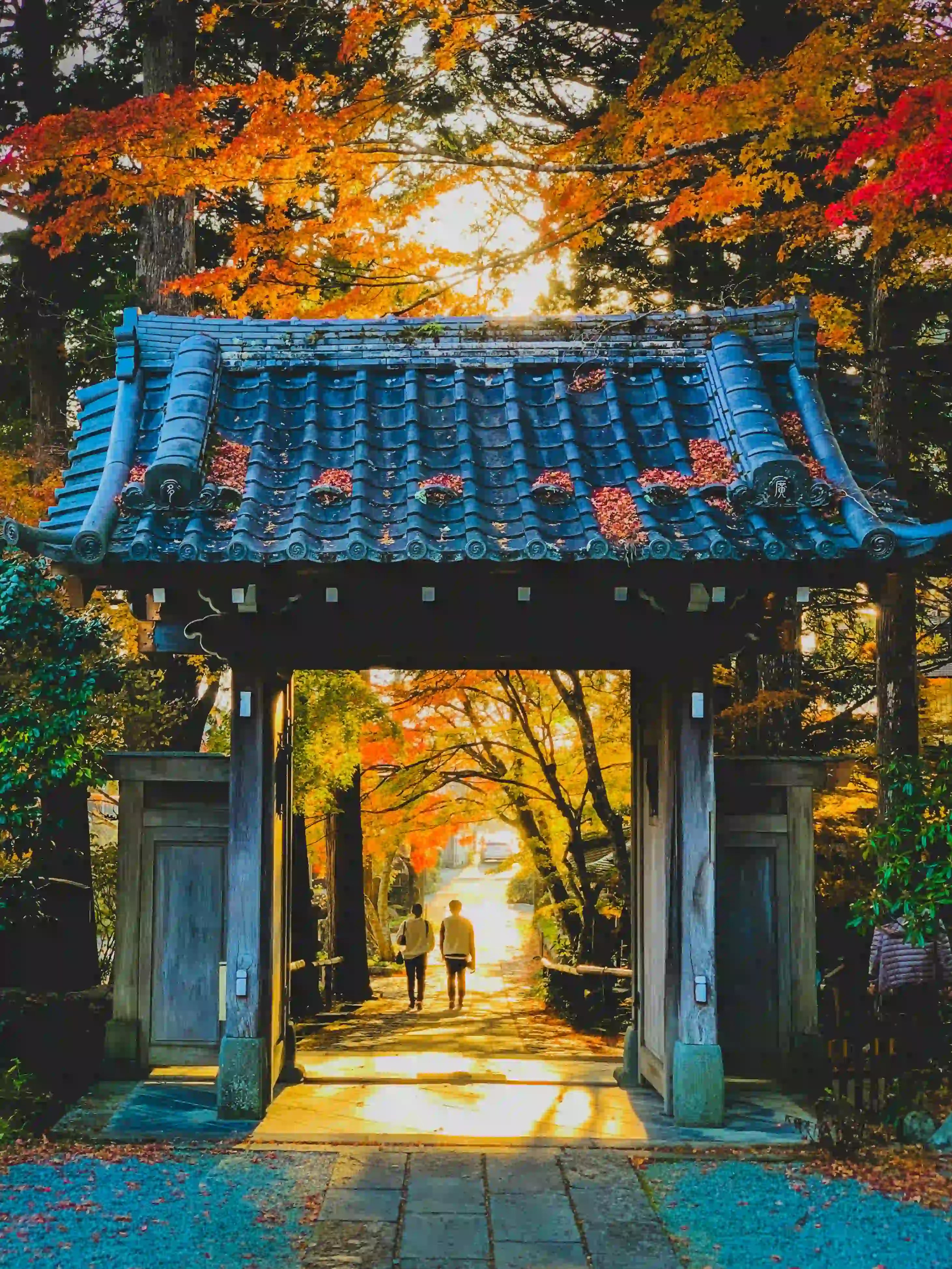 Japan Private Chauffeur Car Charter with Local Driver-Guide