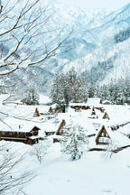 Japan Private Chauffeur Car Charter with Local Driver-Guide