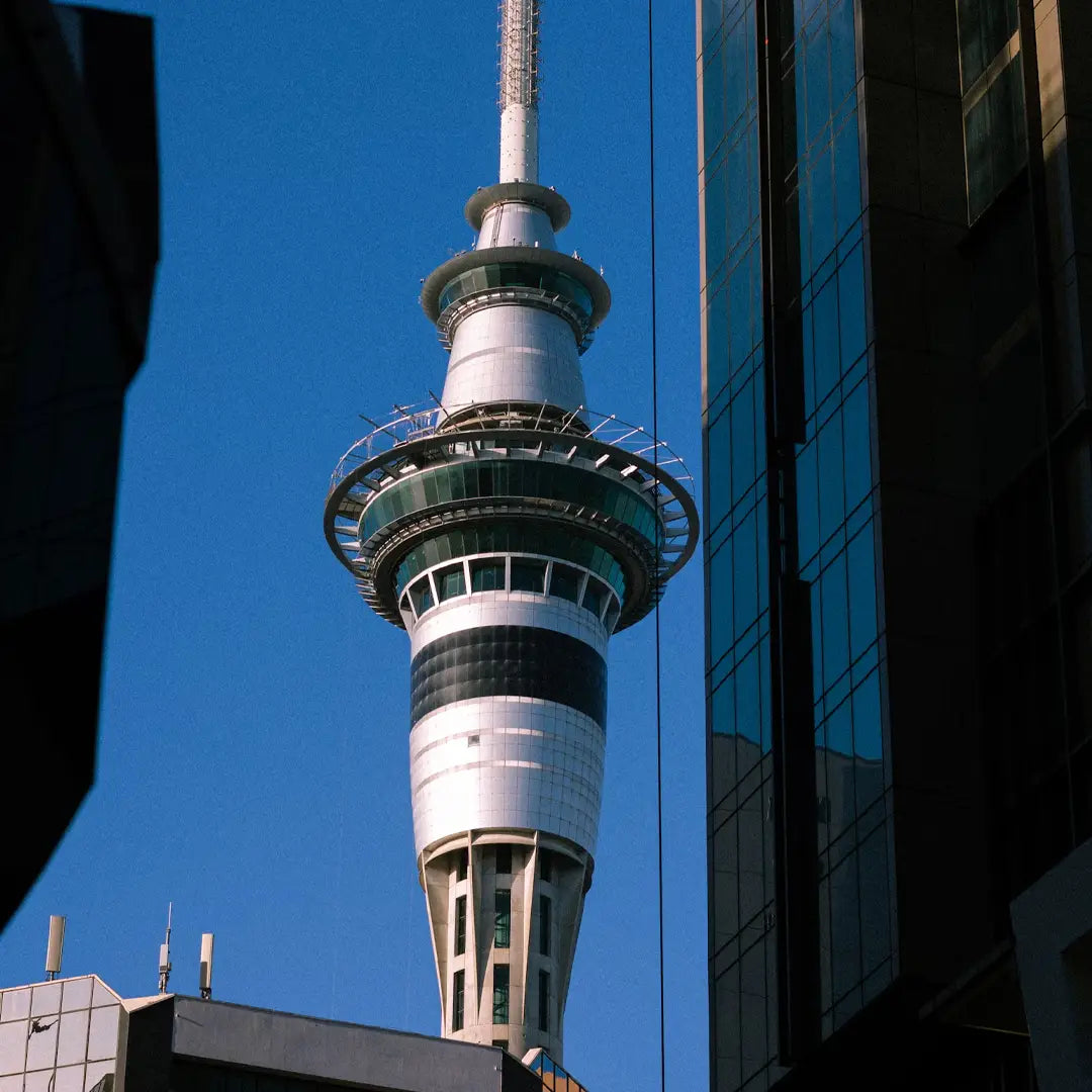 New Zealand to Fiji: South Pacific Cruise Journey