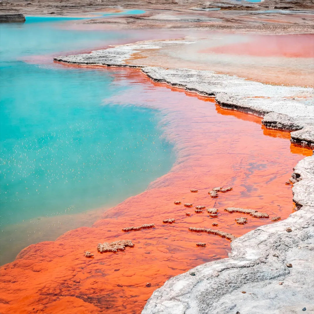 Signature New Zealand Tour