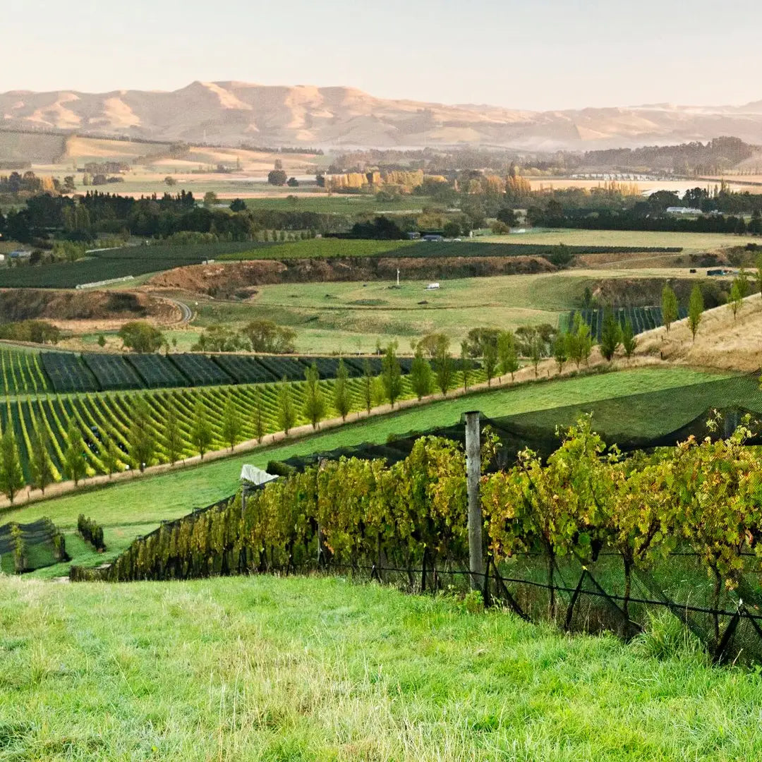 Signature New Zealand Tour