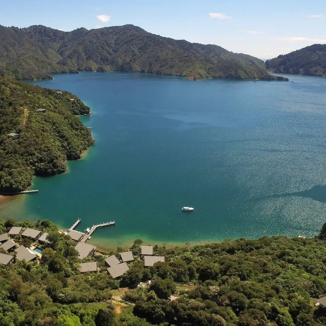 New Zealand Exclusive Odyssey