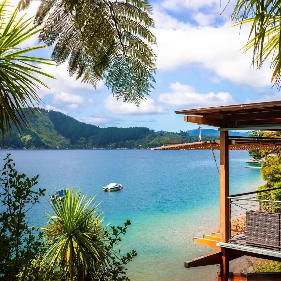 New Zealand Exclusive Odyssey