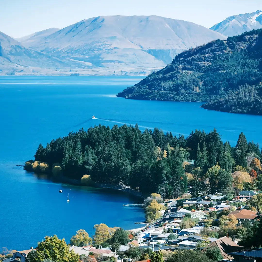 New Zealand Exclusive Odyssey