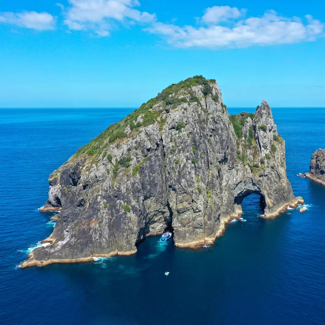 New Zealand to Fiji: South Pacific Cruise Journey