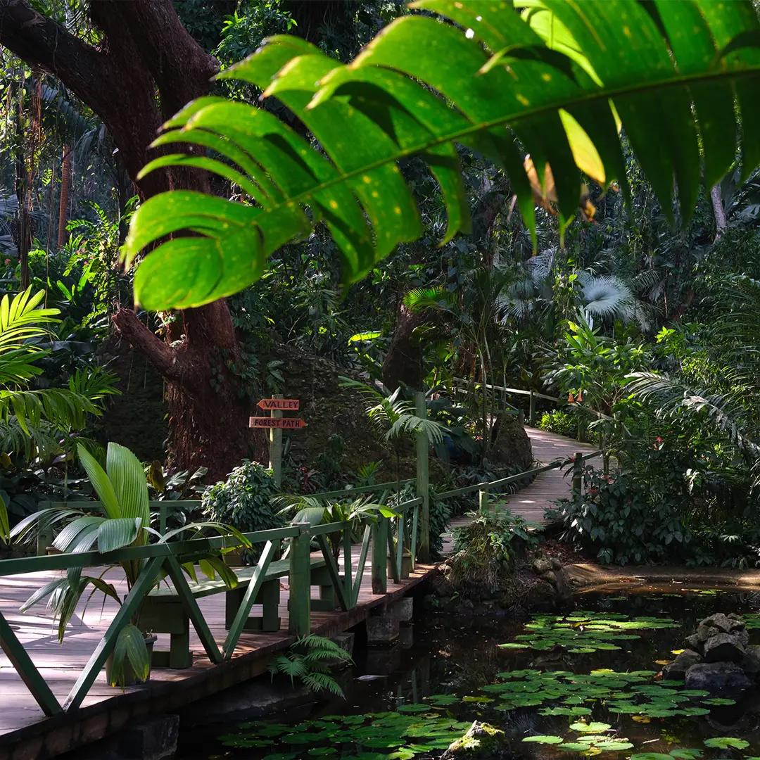 New Zealand to Fiji: South Pacific Cruise Journey