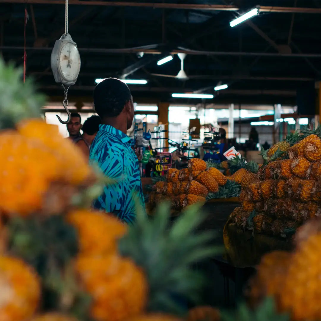 New Zealand to Fiji: South Pacific Cruise Journey