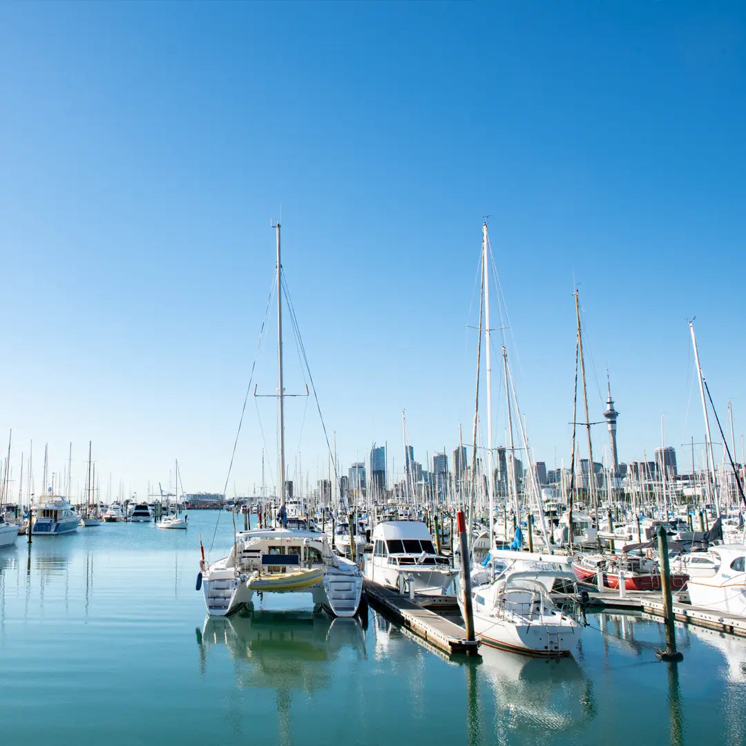 New Zealand to Fiji: South Pacific Cruise Journey