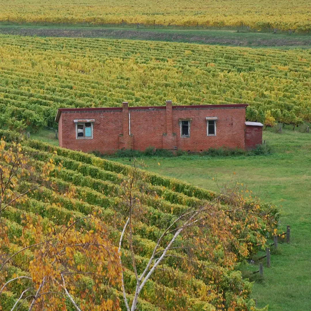 Ultimate NewZealand Land & SeaLuxury Journey