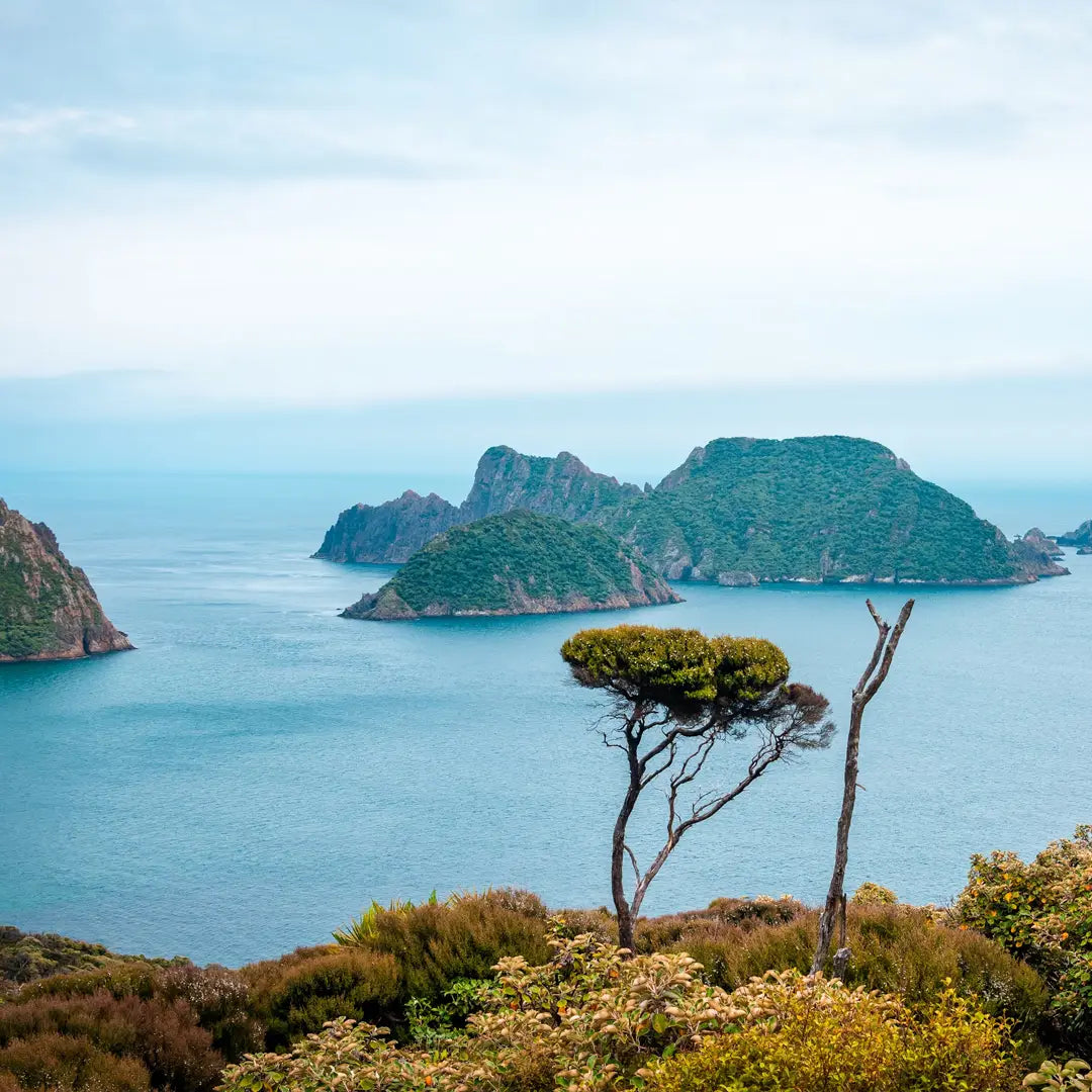 Ultimate NewZealand Land & SeaLuxury Journey