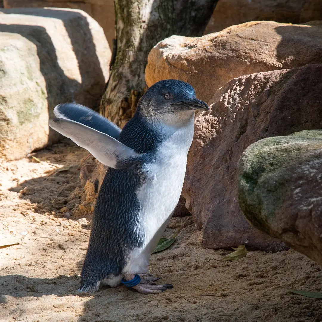 Ultimate NewZealand Land & SeaLuxury Journey