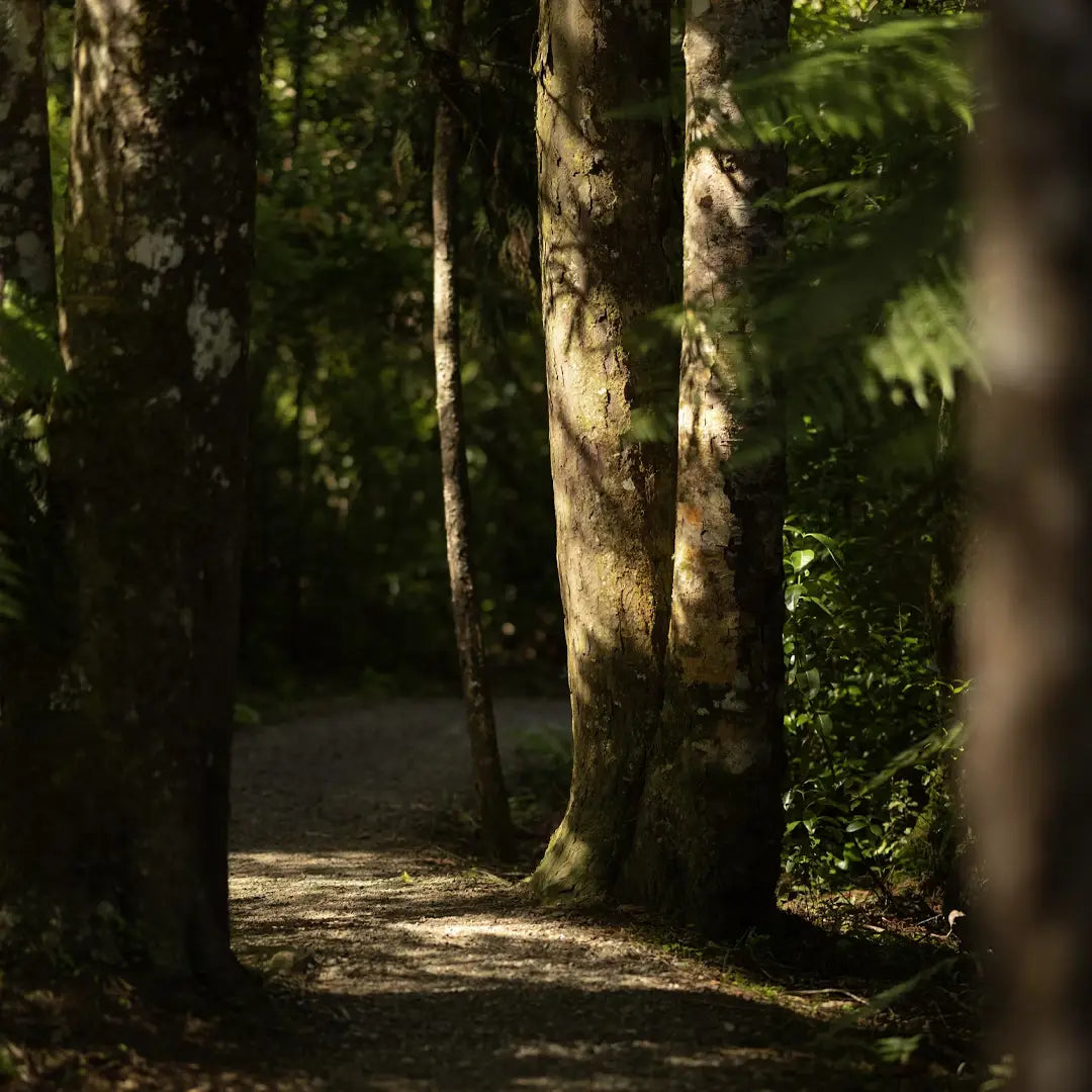 New Zealand & Fiji Discovery Tour