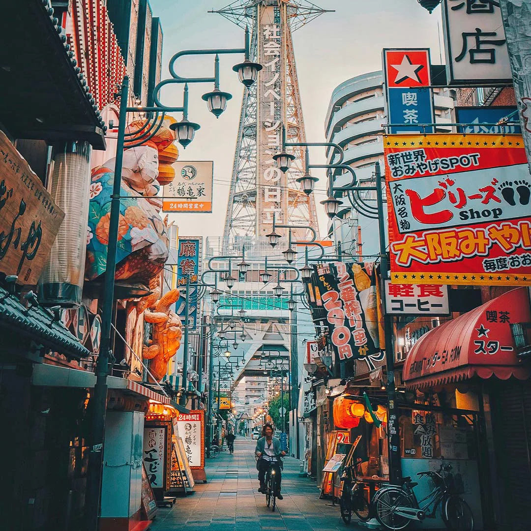 Japan Private Chauffeur Car Charter with Local Driver-Guide