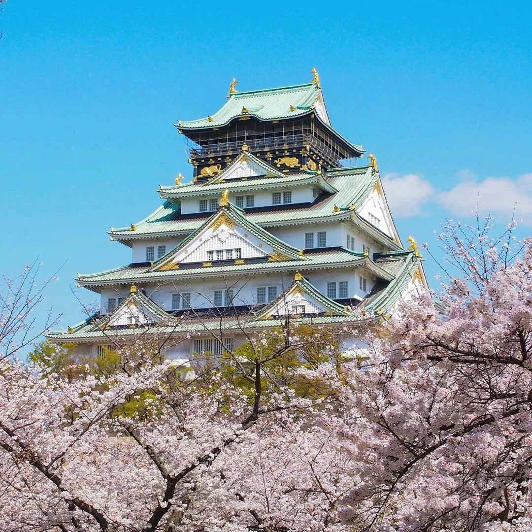 Japan Private Chauffeur Car Charter with Local Driver-Guide