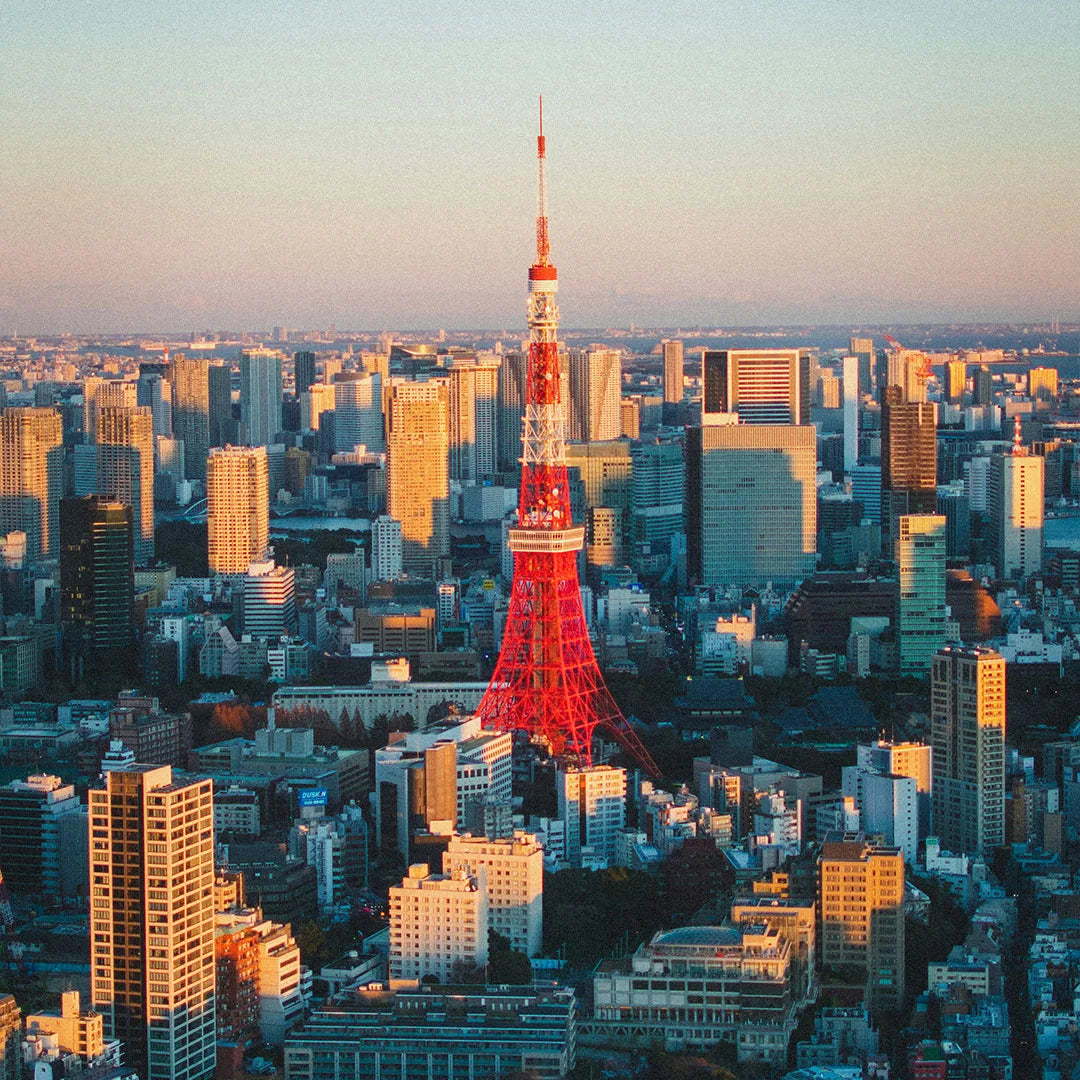 Japan Private Chauffeur Car Charter with Local Driver-Guide