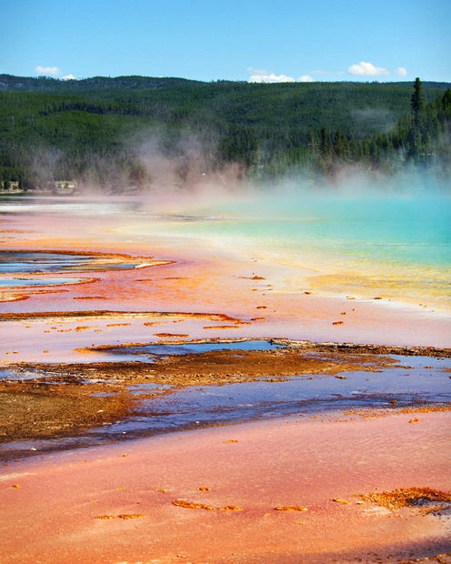 Yellowstone National Park Tours & Wildlife Adventures