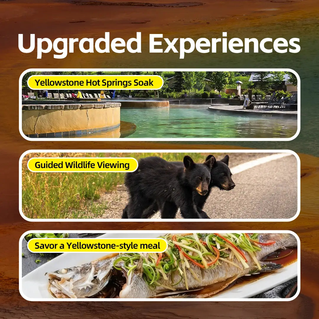 7-Day Ultimate Yellowstone Loop Tour from Los Angeles | Antelope Canyon, Zion, Grand Teton & Las Vegas